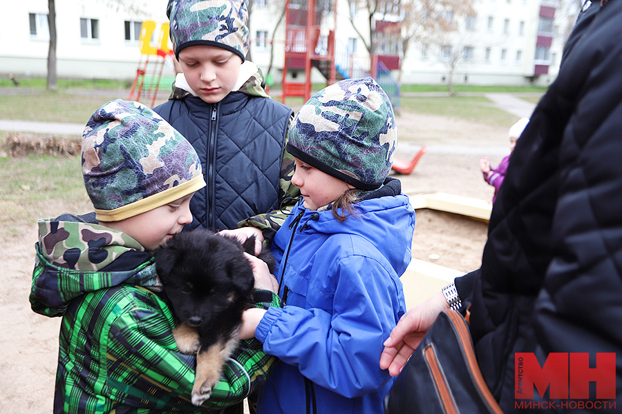 zhkh – subbotnik na rokossovskogo107 36 kopiya