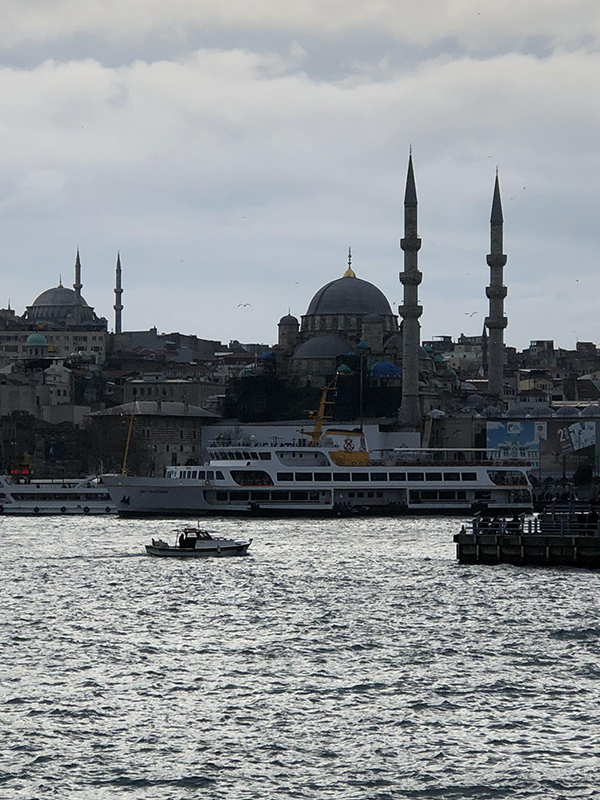 stambul obshhaya panorama