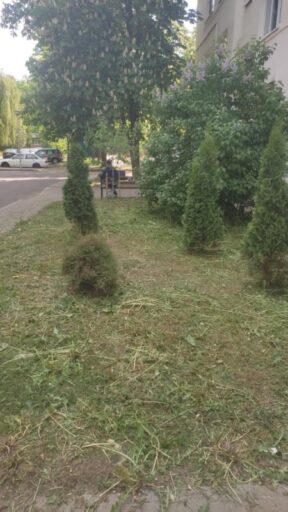 foto ispolnitelya ul. tashkenstkaya