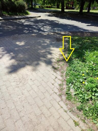 foto polzovatelya tivali