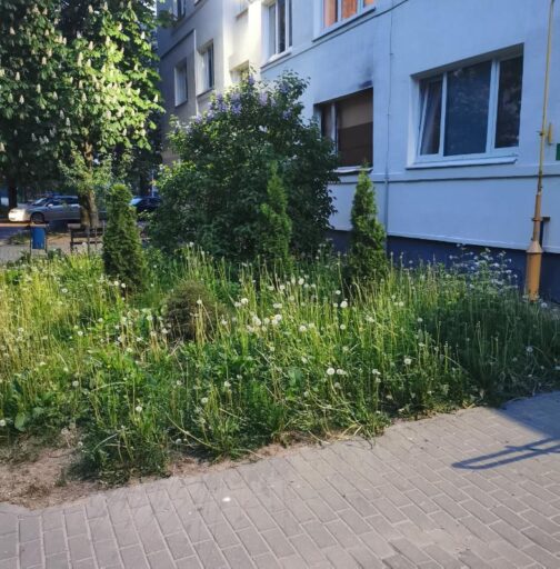 foto polzovatelya ul. tashkentskaya