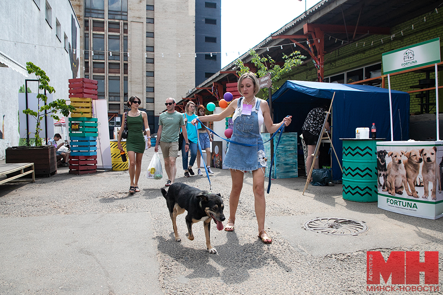 priroda festival fortuna pets fest bezdomnye pitomczy malinovskaya 14 kopiya