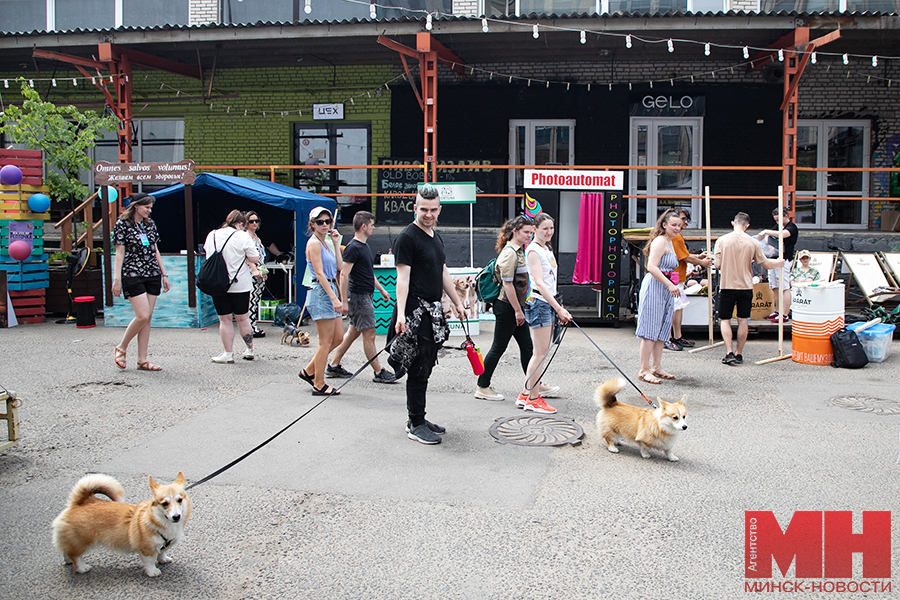 priroda festival fortuna pets fest bezdomnye pitomczy malinovskaya 16 kopiya