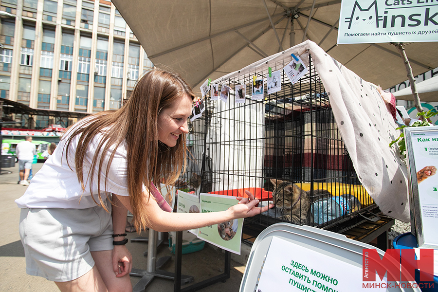 priroda festival fortuna pets fest bezdomnye pitomczy malinovskaya 44 kopiya