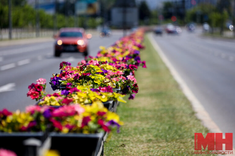 zhkh blagoustrojstvo ozelenenie stolyarov 24 kopiya 2