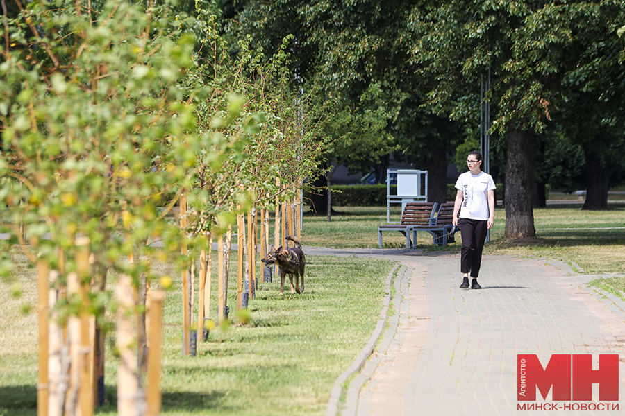 zhkh blagoustrojstvo skver stolyarov 3 kopiya