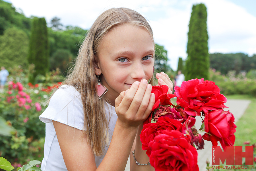 03 07 2023 priroda – rozy v botanicheskom sadu pozhoga 14 kopiya