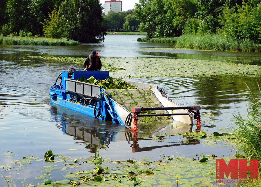 07 07 2023 minsk slyapyanskaya vodnaya sistema ochistka ot vodoroslej sarveta1844 kopiya e1688800907782