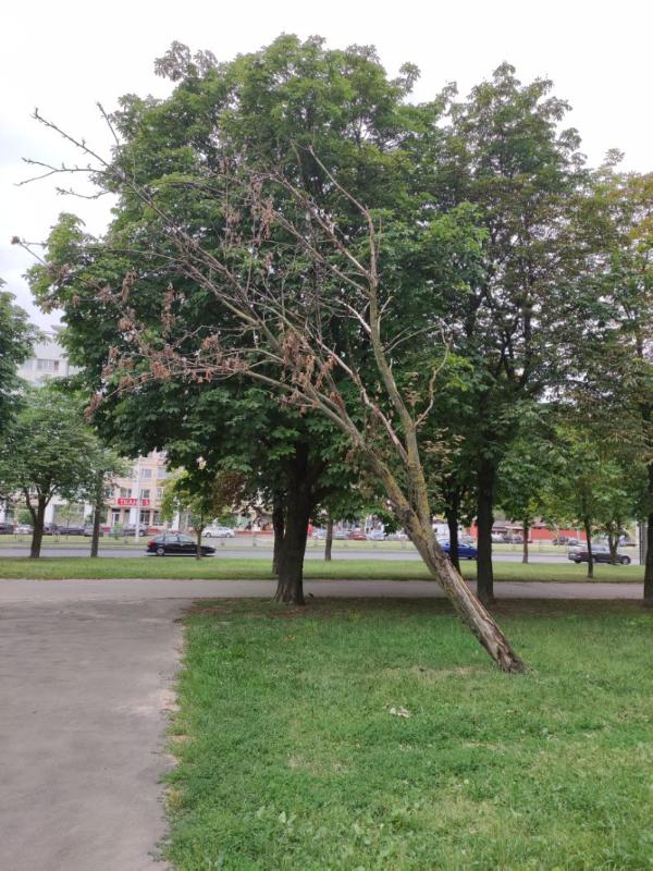 foto polzovatelya pr t rokossovskogo