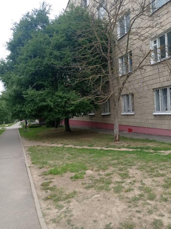 foto polzovatelya ul. nadezhdinskaya