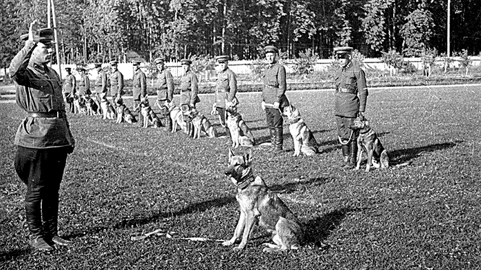 krasnaya zvezda