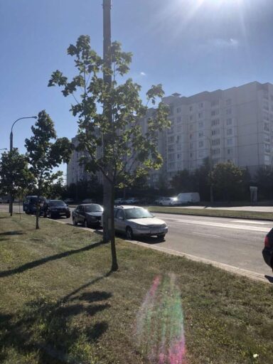 snimok ispolnitelya ul. vladislava golubka