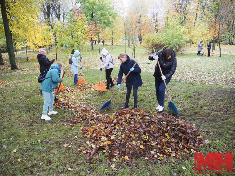 «Совместными усилиями сделаем район лучше». В Партизанском проходит общегородской субботник 1 28 10 2023 subbotnik partizanskij mozolevskij 01 kopiya