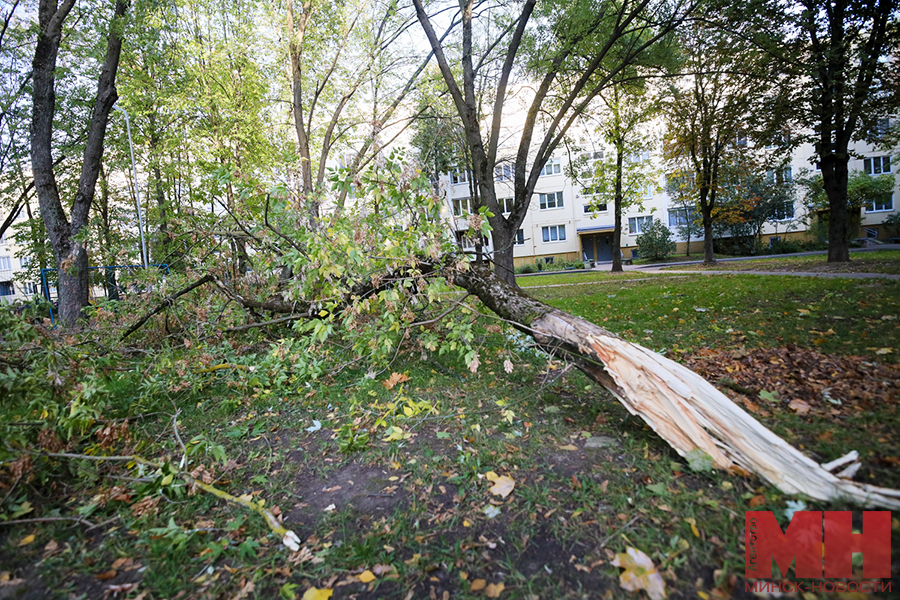 priroda pogoda otdyh uragan stolyarov 21 kopiya