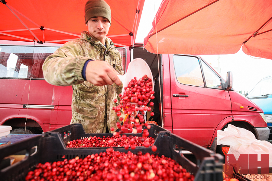 torgovlya yarmarka ovoshhi frukty stolyarov 09 kopiya