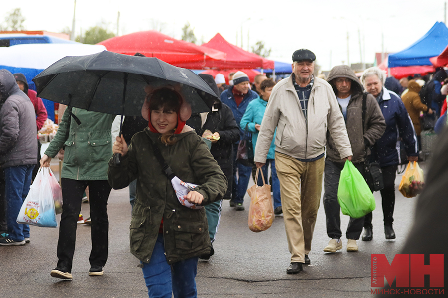 torgovlya yarmarka ovoshhi frukty stolyarov 16 kopiya