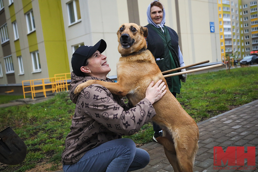 zhkh ozelenenie subbotnik stolyarov 08 kopiya