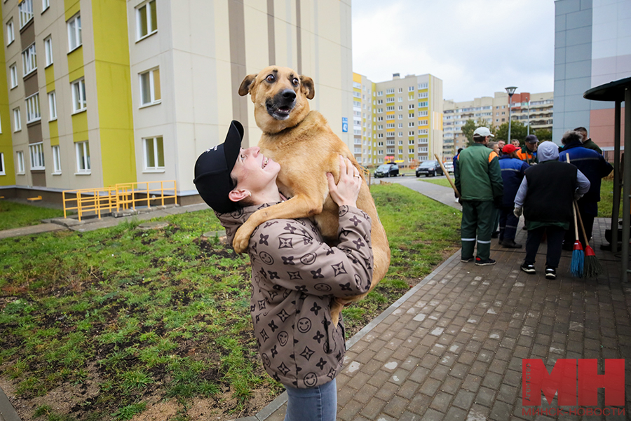 zhkh ozelenenie subbotnik stolyarov 35 kopiya