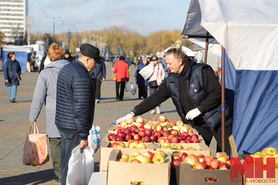 05 11 2023 torgovlya selhozyarmarka ovoshhi frukty malinovskaya16