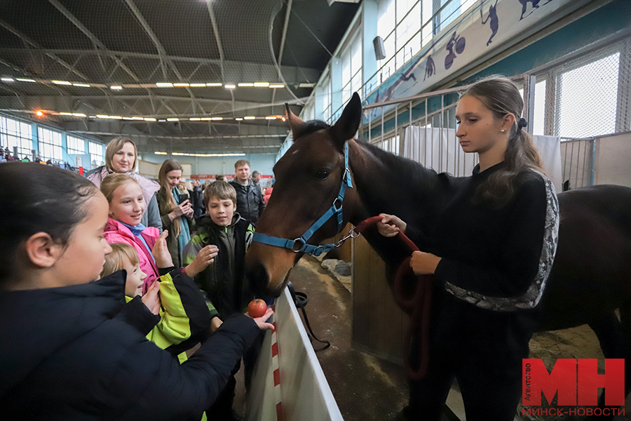 06 11 2023 sport – vystavka loshadej pozhoga 03 kopiya