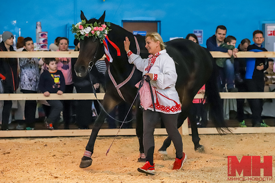 06 11 2023 sport – vystavka loshadej pozhoga 13 kopiya