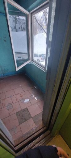 snimok polzovatelya pr t pushkina