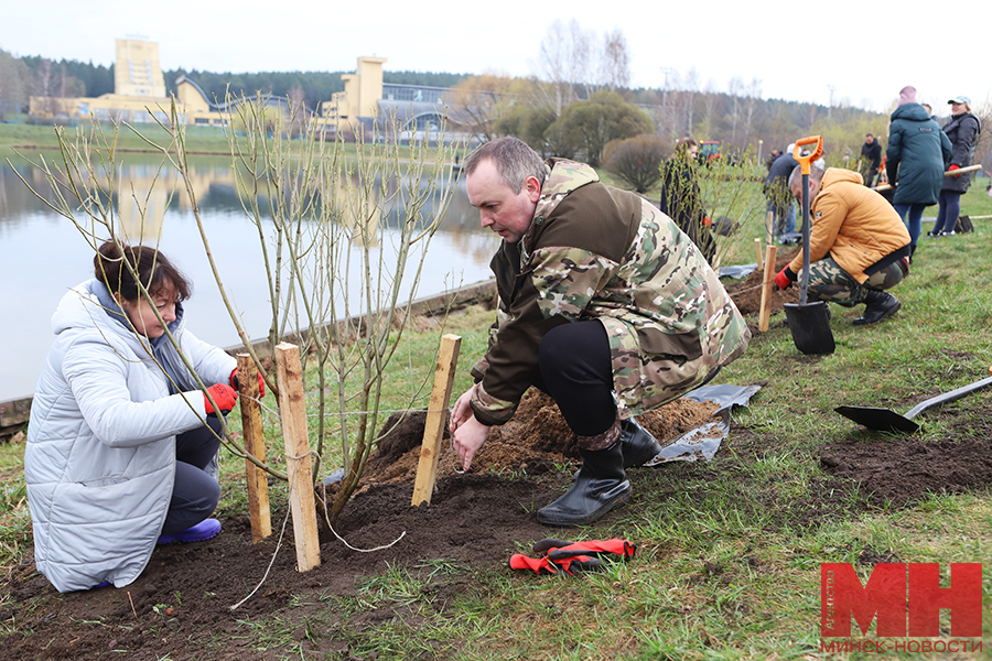 06 03 2024 zhkh – subbotnik – posadka derevev – pozhoga 31 kopiya