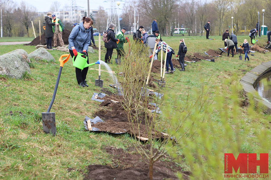 06 03 2024 zhkh – subbotnik – posadka derevev – pozhoga 35 kopiya