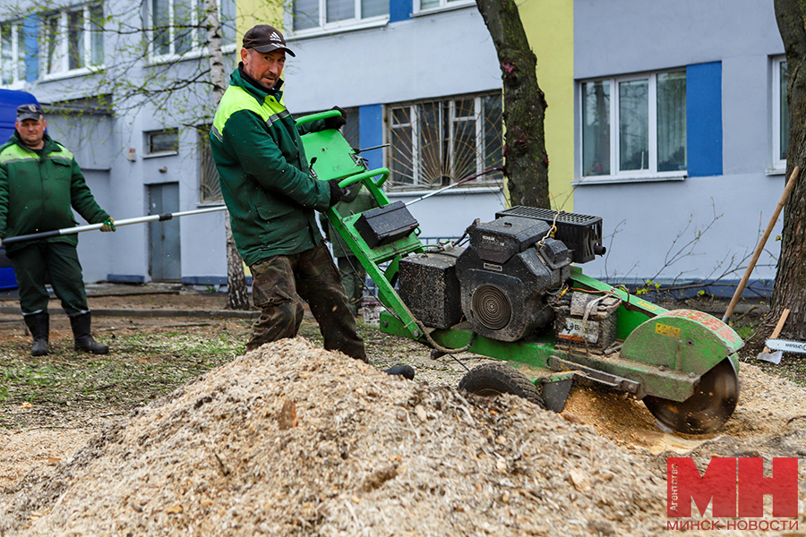 12 04 2024 subbotnik – na vaneeva pozhoga 06 kopiya