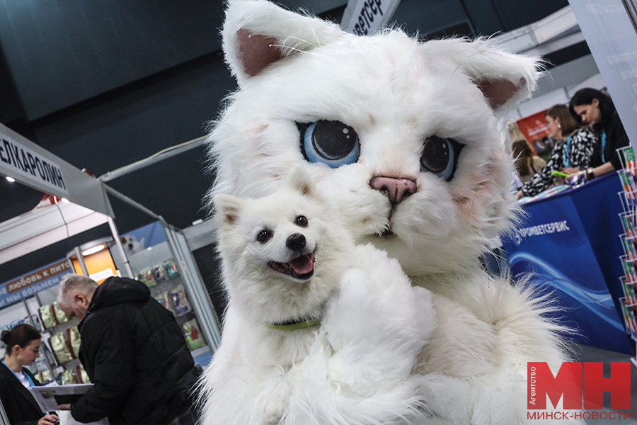 gorod fauna zoo festival stolyarov 26 kopiya