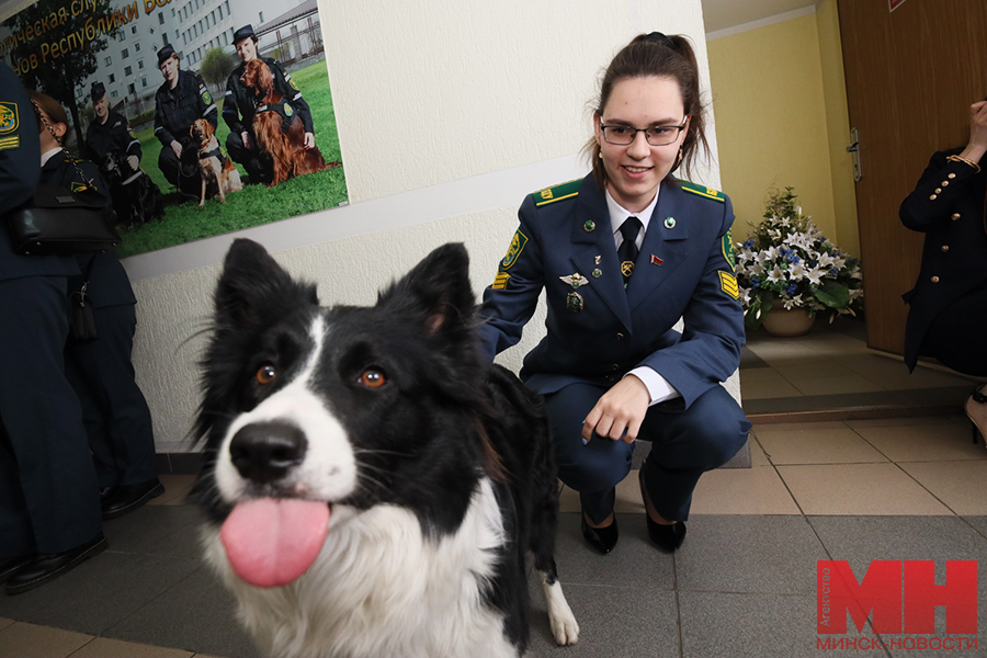 siloviki tamozhnya studenty stolyarov 45 kopiya