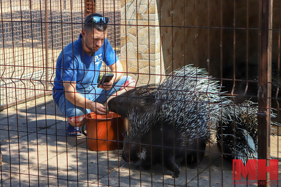 29 05 2024 priroda – vyezdnoe zasedanie po gradostroitelstvu pozhoga 77 kopiya