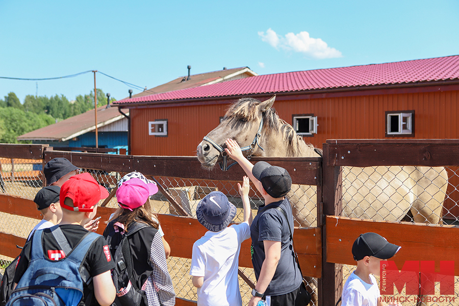 29 05 2024 priroda – vyezdnoe zasedanie po gradostroitelstvu pozhoga 92 kopiya