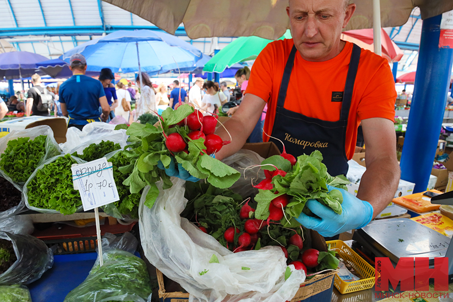 torgovlya rynok komarovka stolyarov 19 kopiya