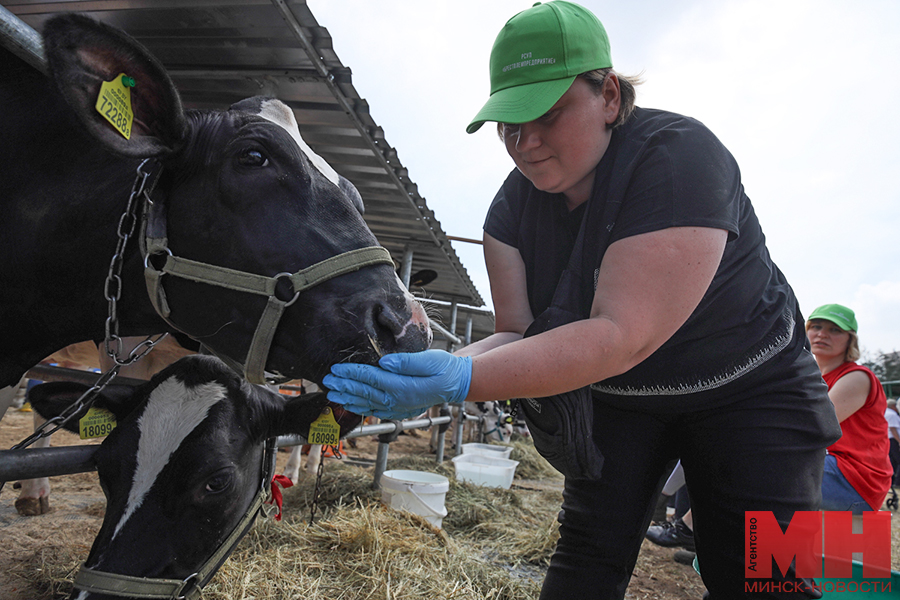 selo belagro vystavka stolyarov 19 kopiya