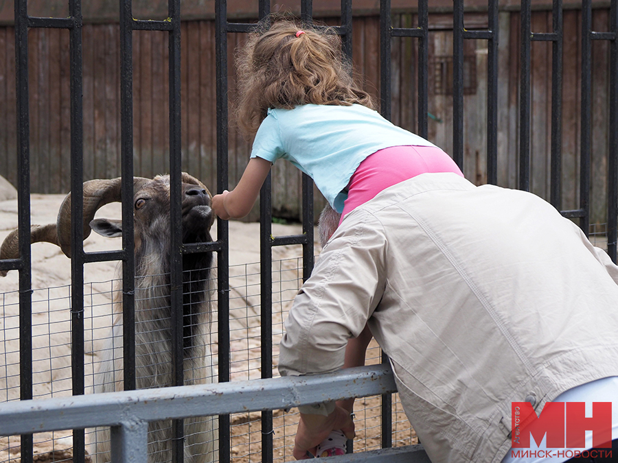 03 07 2024 prazdnik 3 iyulya zoopark mozolevskij 08 kopiya