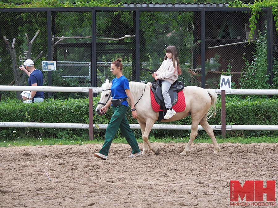 03 07 2024 prazdnik 3 iyulya zoopark mozolevskij 09 kopiya