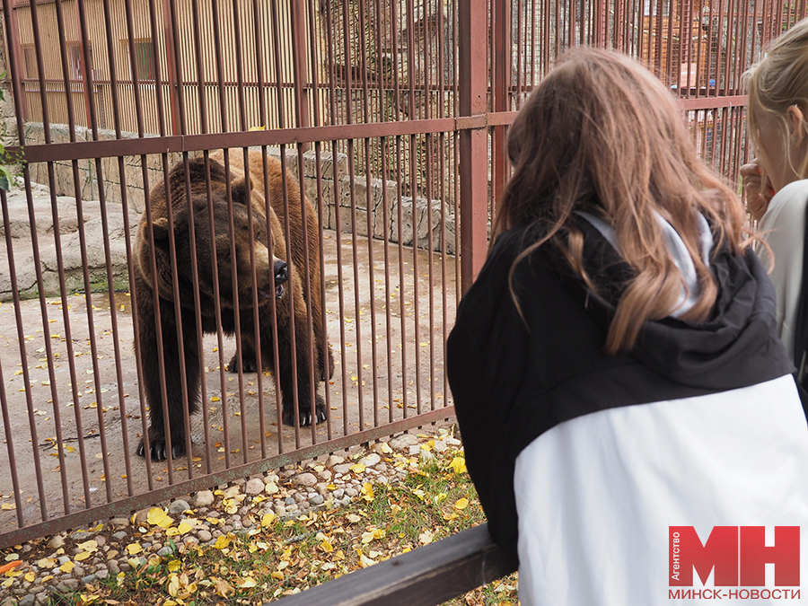 03 07 2024 prazdnik 3 iyulya zoopark mozolevskij 23 kopiya