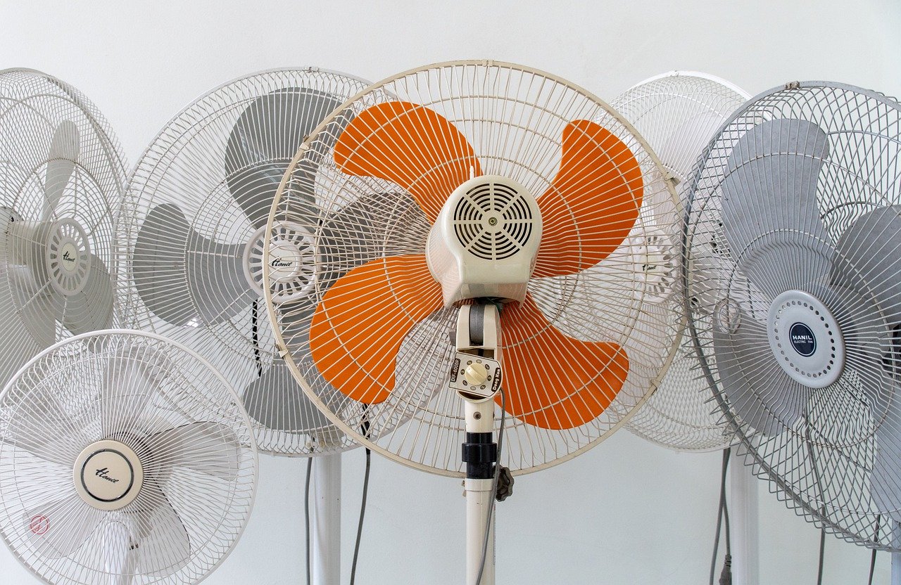 fans 7995865 1280 1