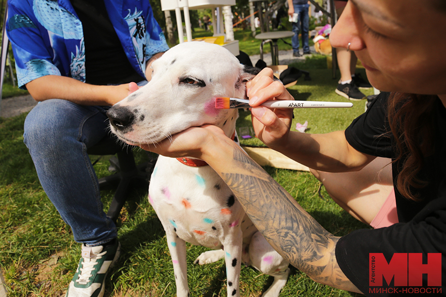 gorod fauna festival zhivotnyh stolyarov 27 kopiya