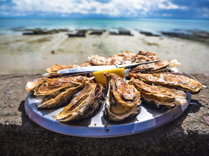 oysters busse