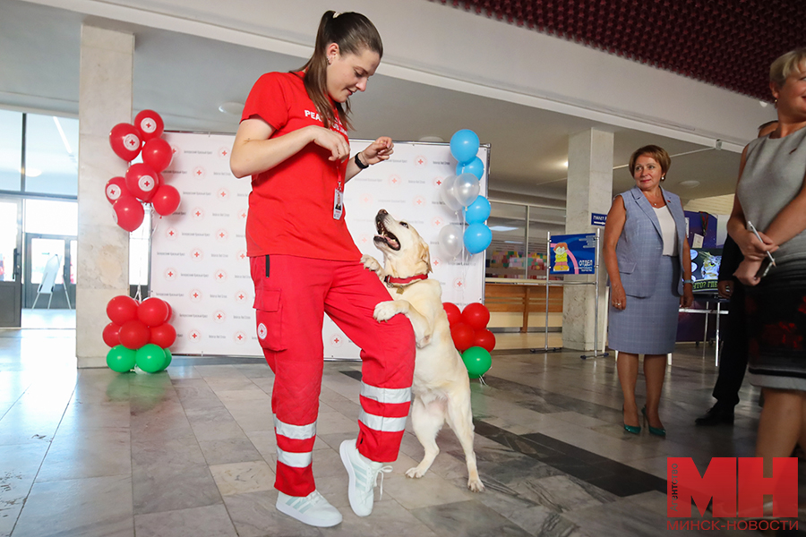 soczialka obrazovanie bezhenczy iz ukrainy stolyarov 07 kopiya