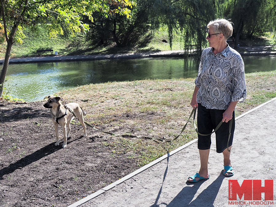 19 09 2024 otdyh antonovskij park mozolevskij 10 kopiya