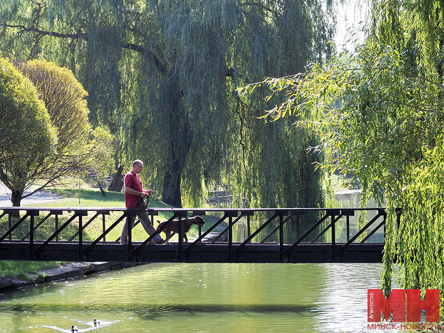 19 09 2024 otdyh antonovskij park mozolevskij 33 kopiya