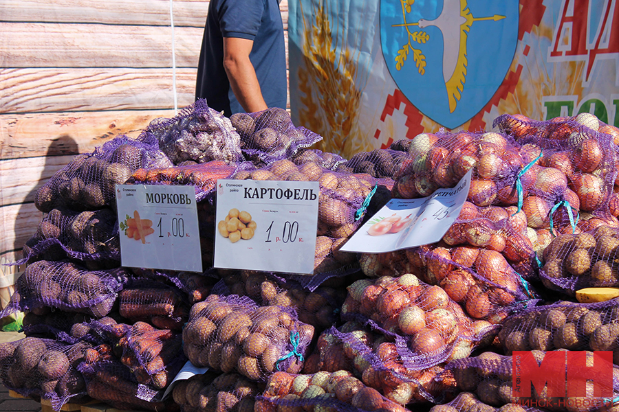 21 09 2024 ploshhadka u dvorcza sporta minski kirmash foto vladislava vinograd 9 kopiya 1