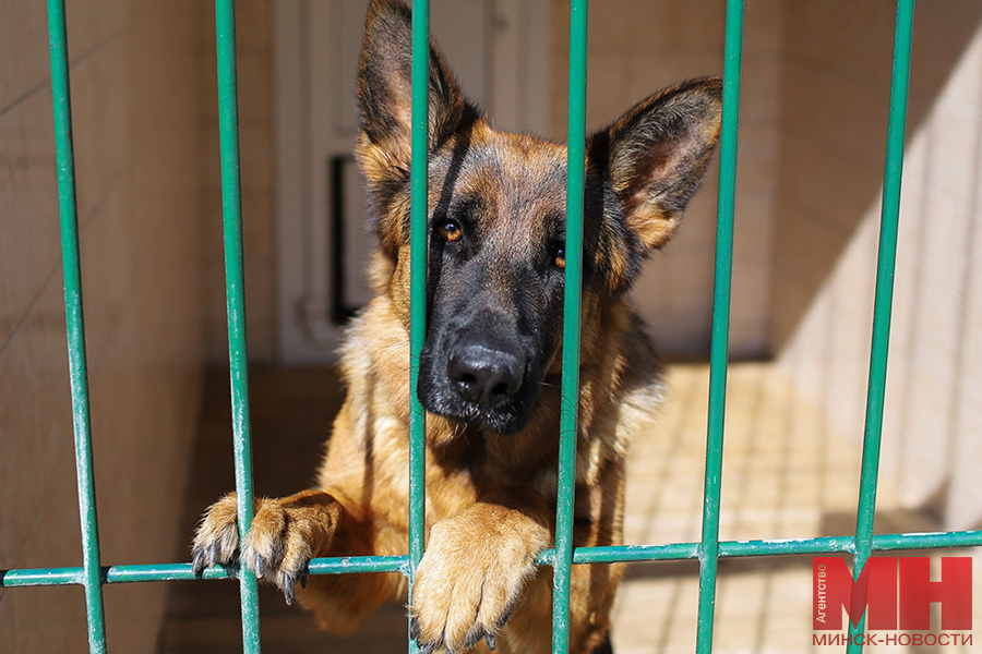 28 08 2023 siloviki uchebnyj czentr mvd malinovskaya031 kopiya