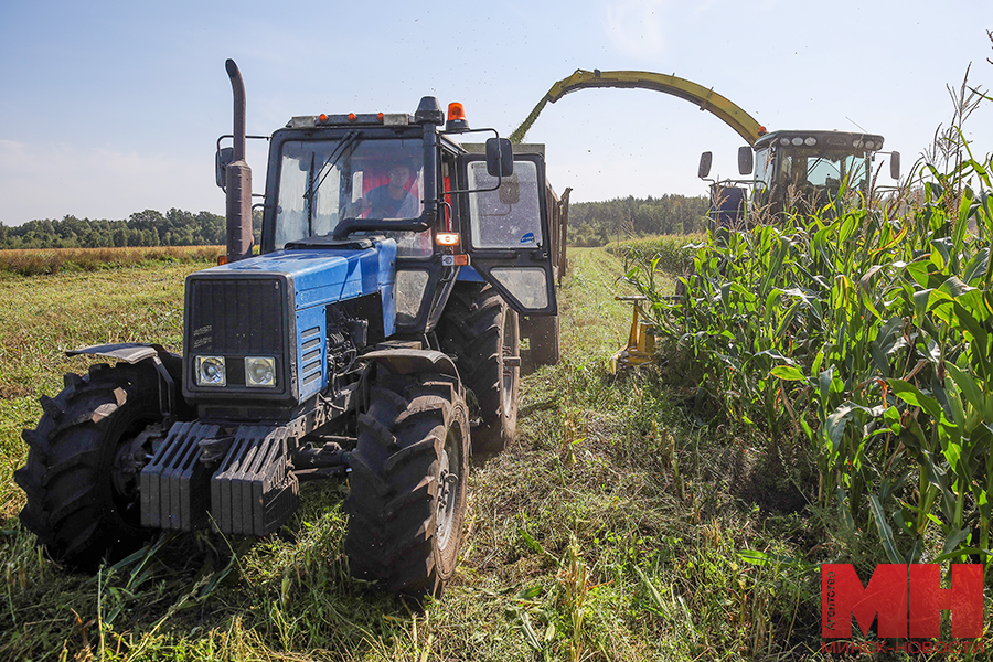 selo agrogorodki hozyajstvo stolyarov 4 kopiya