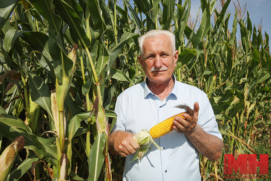 selo agrogorodki hozyajstvo stolyarov 52