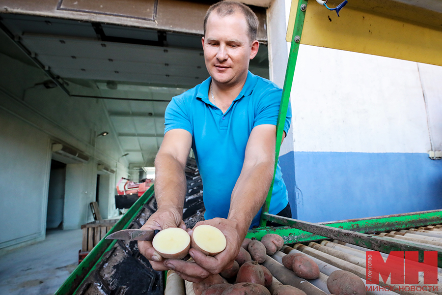 selo agrogorodki hozyajstvo stolyarov 62 kopiya