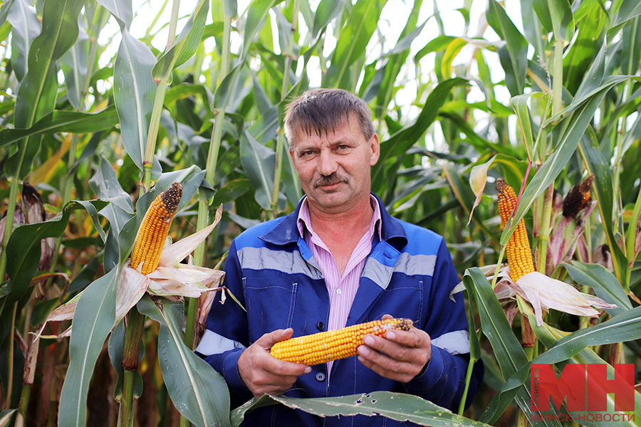 10 09 2024 selo pyatigore agrokombinat malinovskaya31 kopiya